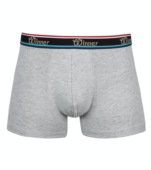 Picture of Winner Style Luxury Boxer W0002 Gray Mélange