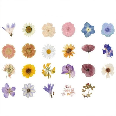 Picture of 46PCS Beautiful Botanical Bliss Stickers Album Diary, Flower Journal Decorative Crafts Scrapbooking DIY Boxed Sticker
