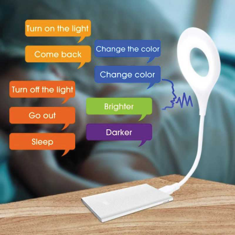 Picture of Smart voice control light