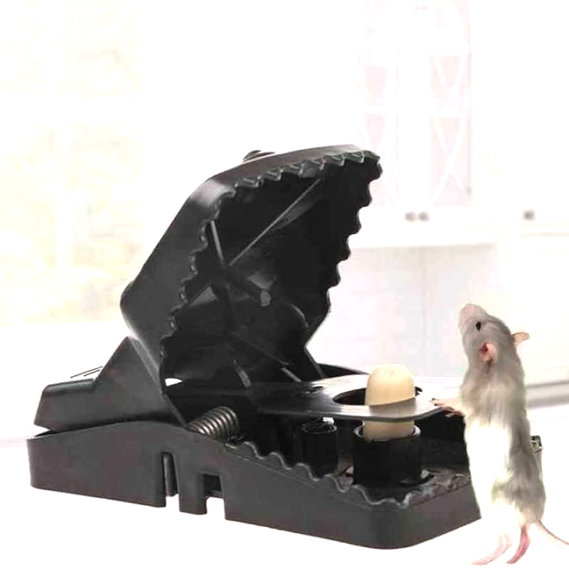 Picture of Mouse Trap Clip