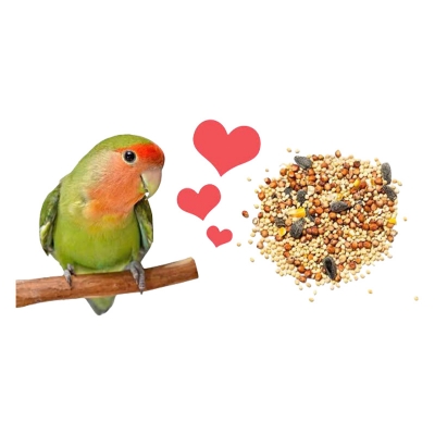 Picture of Love bird seed mix food 1kg