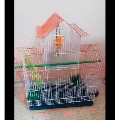Picture of Home Shape Big Size China Premium Metal Bird Cage (2025) With All Accessories Cash On Delivery Available