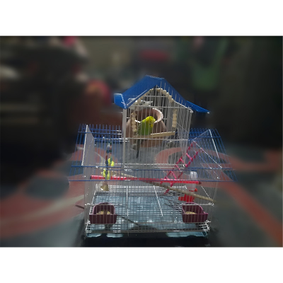 Picture of Home Shape Big Size China Premium Metal Bird Cage (2025) With All Accessories Cash On Delivery Available