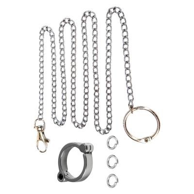 Picture of Pet Bird Foot Chain 3 feet long With Ring Leash Parrot Stainless Steel 304 Anklet Ring
