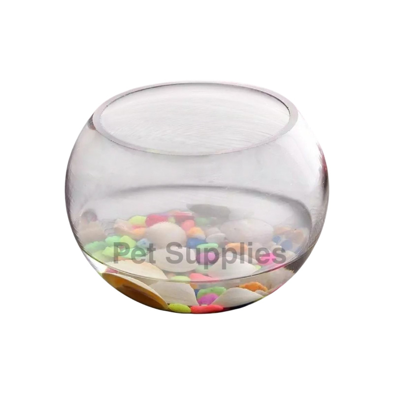 Picture of Fighter jar Mini Fish Aquarium