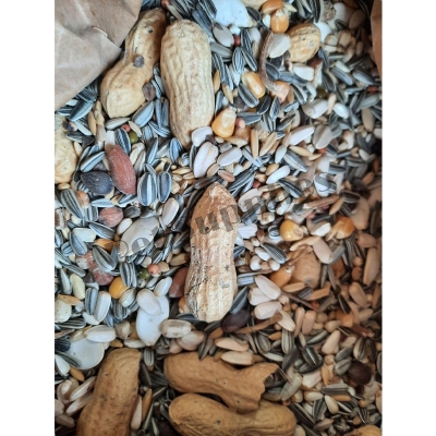 Picture of Scarlet Macaw / Cockatoos / Parrot Premium Seed Mix With Pumpkin Seed As Same As Picture 1kg