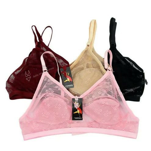 Picture of Transparent 4 Pieces Combo Net Bra For Women