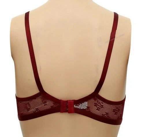 Picture of Transparent 4 Pieces Combo Net Bra For Women