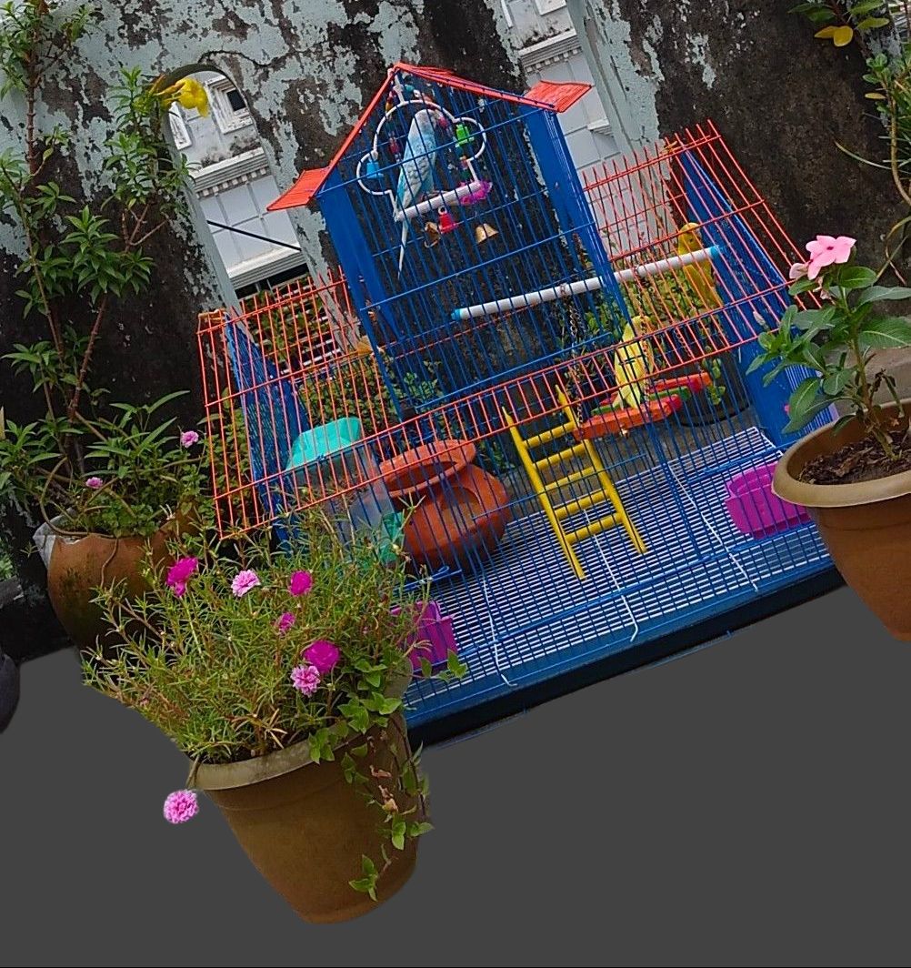 Picture of Rust Proof Portable Bird Cage For Any Kind Of Birds Like Macao, Parrot  Cash On Delivery Available Picture of Rust Proof Portable Bird Cage For Any Kind Of Birds Like Macao, Parrot  Cash On Delivery Available