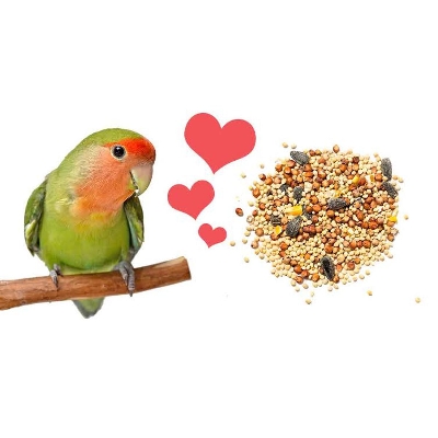 Picture of Love bird seed mix food 1kg