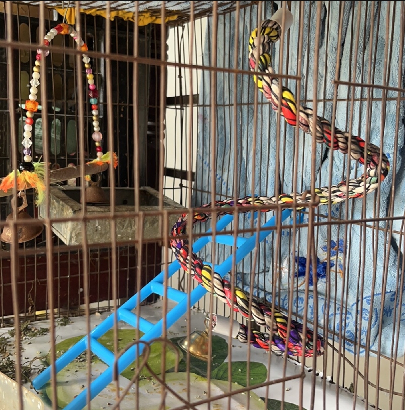 Picture of Bird ladder fun cage toy  for bird training 1Pieces
