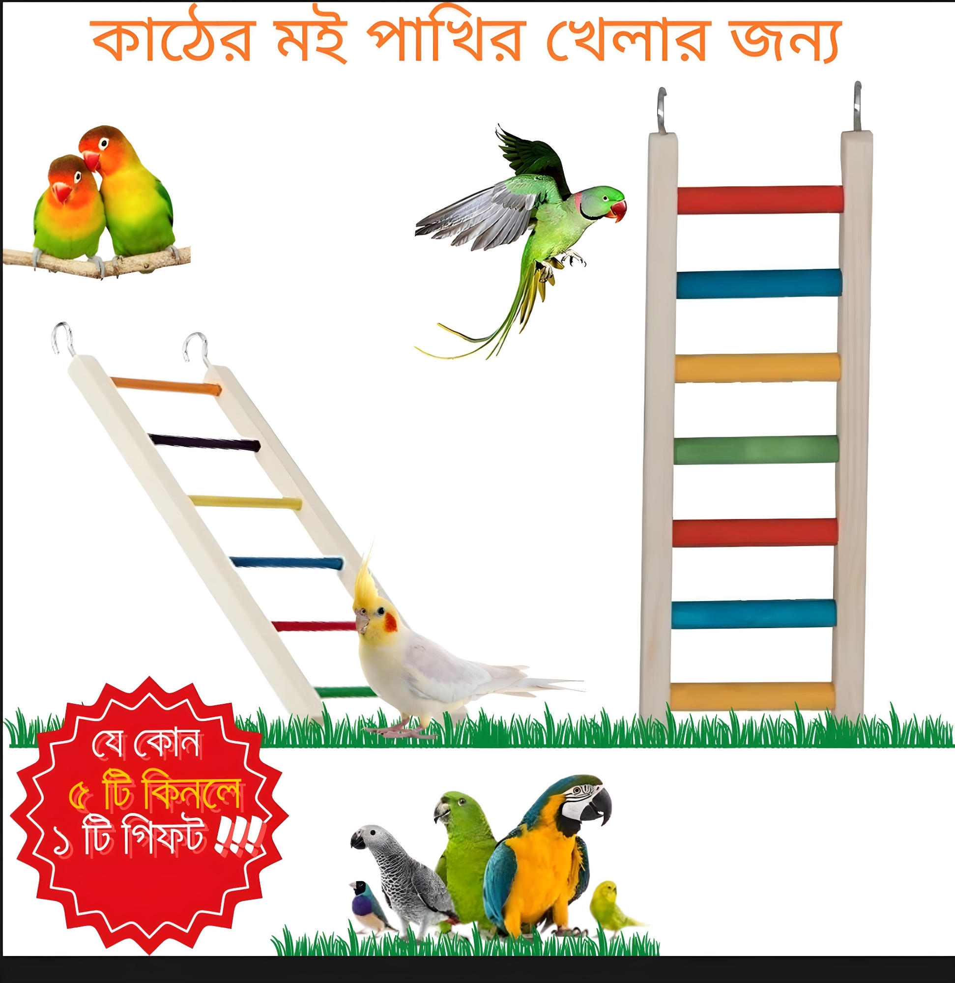 Picture of Wooden Bird ladder fun cage toy for bird training  1pcs Picture of Wooden Bird ladder fun cage toy for bird training  1pcs