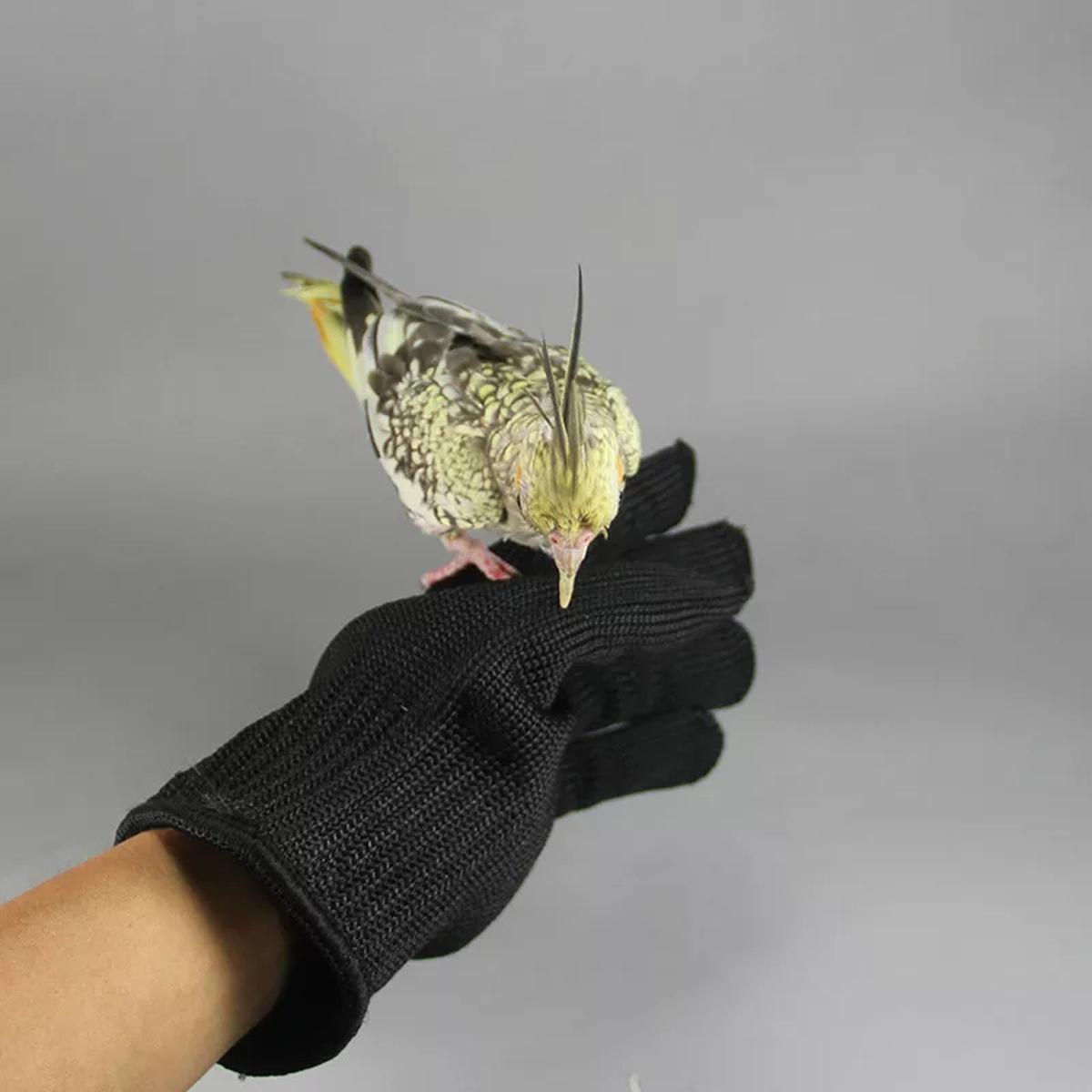 Picture of 1 pair Anti-Bite Biteproof gloves for training your bird Picture of 1 pair Anti-Bite Biteproof gloves for training your bird