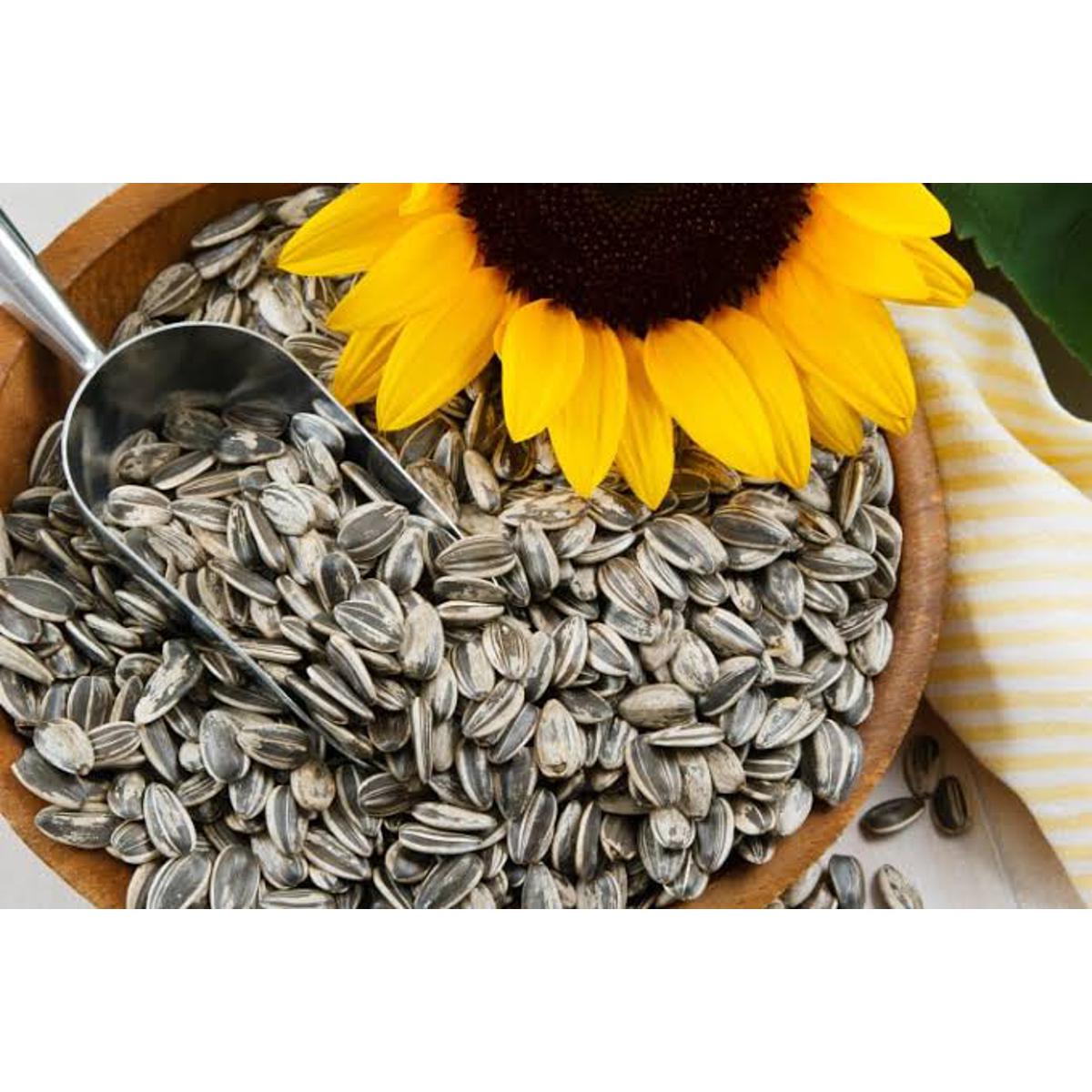 Picture of Natural Sunflower Seeds  for Cockatiel/Parrot/Macao/Love Bird Food 250g