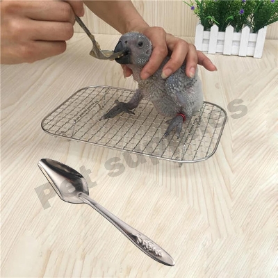 Picture of 4pcs Nestling Feeding Spoon Bird Parrot Feeding Spoon Stainless Steel Water Milk Powder Feeder Spoons Bird Supplies