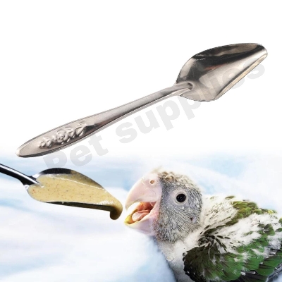 Picture of Nestling Feeding Spoon Bird Parrot Feeding Spoon Stainless Steel Water Milk Powder Feeder Spoons Bird Supplies