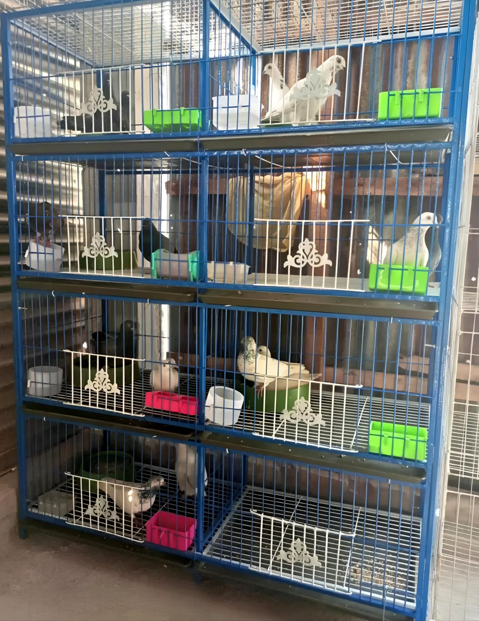 Picture of 8 Floor Nut System Folding Cage Made by 13no Wire With plastic coded on China Model Pigeon Cage Each Floor Cash On Delivery Available