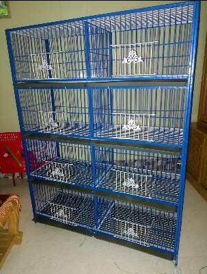 Picture of 8 Floor Nut System Folding Cage Made by 13no Wire With plastic coded on China Model Pigeon Cage Each Floor Cash On Delivery Available
