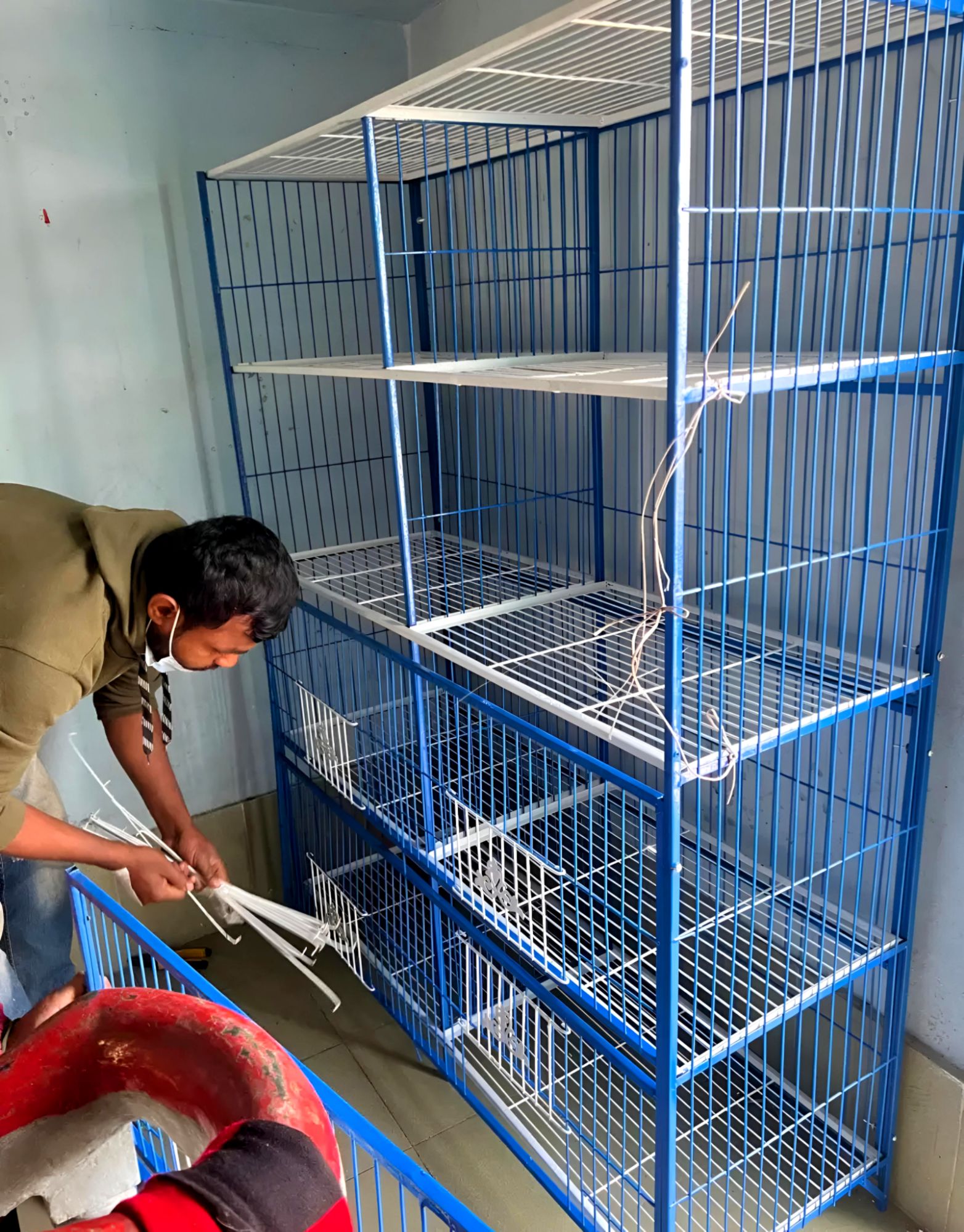 Picture of 8 Floor Nut System Folding Cage Made by 13no Wire With plastic coded on China Model Pigeon Cage Each Floor Cash On Delivery Available