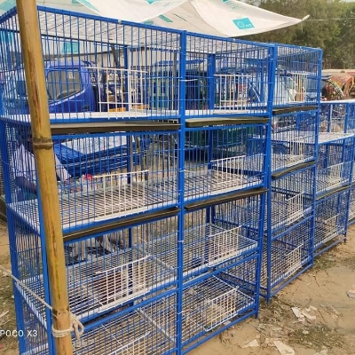 Picture of 6 Floor Nut System Folding Cage Made by 13no. Wire With plastic coded on China Model Pigeon Cage Each Floor Size Length 24"× Width 18" × Height 14 "● Cash On Delivery Available