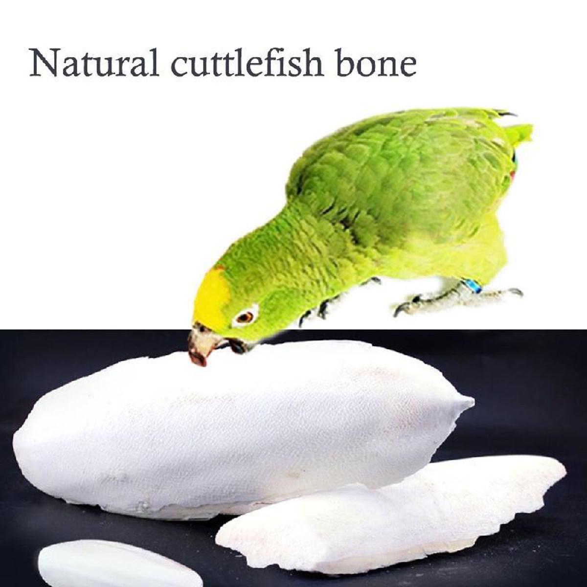 Picture of Cuttlebone Cuttlefish Bone Cuttle Fish Bird Food 100g Picture of Cuttlebone Cuttlefish Bone Cuttle Fish Bird Food 100g