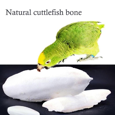 Picture of Cuttlebone Cuttlefish Bone Cuttle Fish Bird Food 100g Picture of Cuttlebone Cuttlefish Bone Cuttle Fish Bird Food 100g