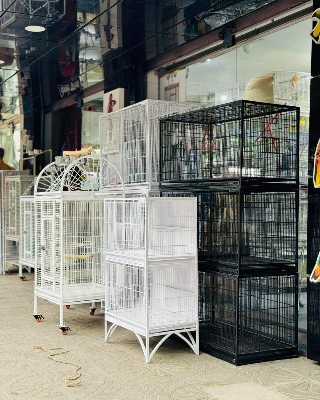 Picture of Large Family Bird Temp Cage With Double Roof Top Play Ground , Luxury Pet Parrot Cage Ornamental Cage Metal Cage Transparent Glass Cage Door Feeding Cage Birds/Cages