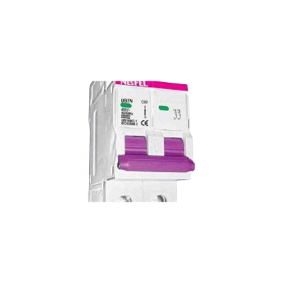 Picture of Circuit Breaker NESFEL MCB-Double Pole 40A