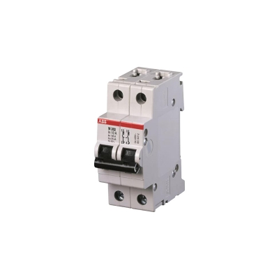 Picture of ABB Circuit Breaker Heavy Duty- MCB-Double Pole 50 A ( Made In Germany)