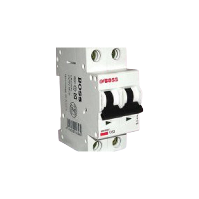Picture of Circuit Breaker Wener B MCB-Double Pole 06A