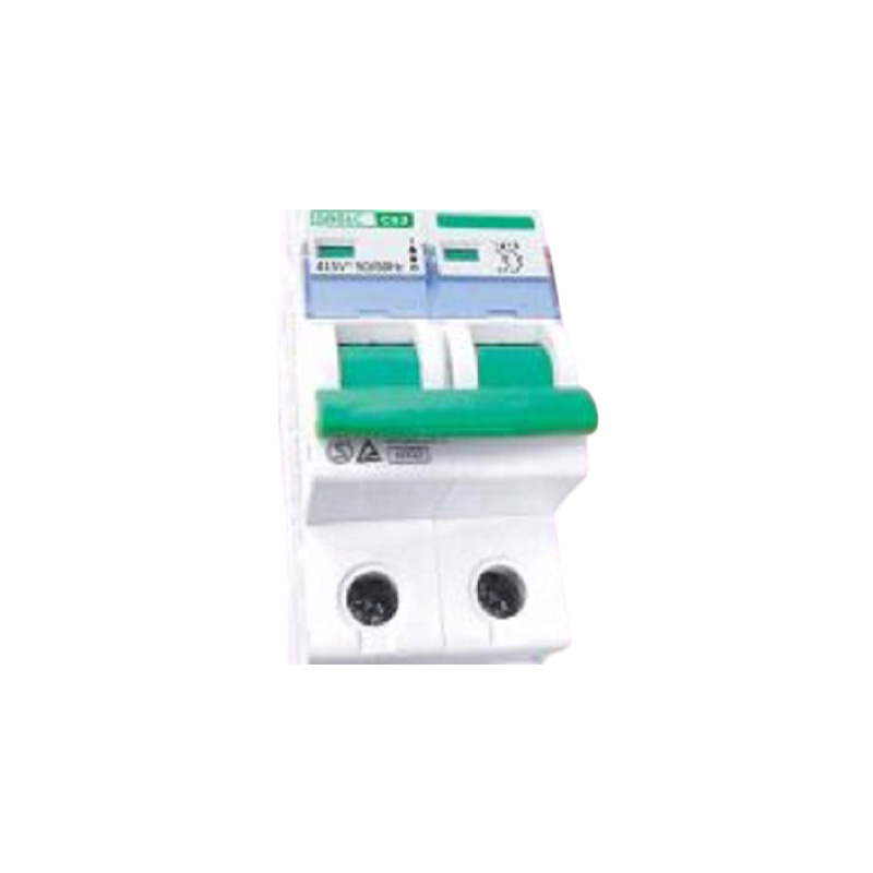 Picture of P-TECH Circuit Breaker   MCB-Double Pole 10Amp(5 years Warranty)