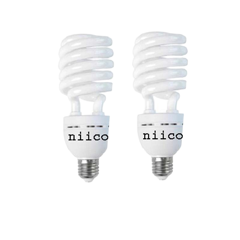 Picture of Energy Saving Light 32 Watt (Pass System)