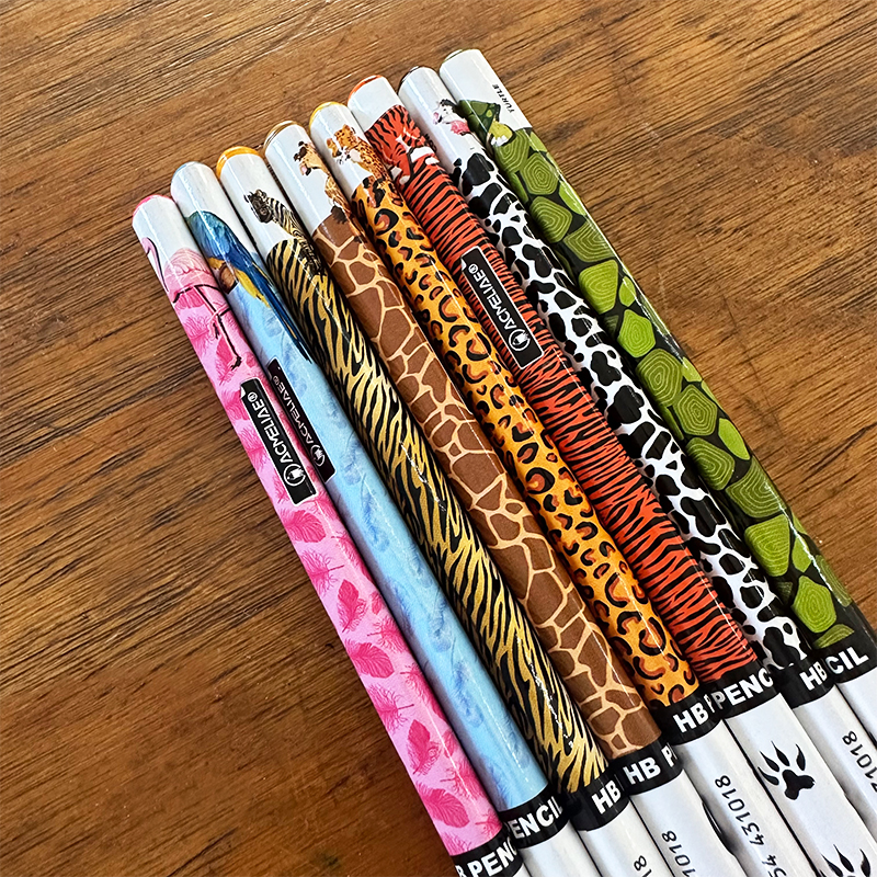 Picture of Acmeliae HB Graphite Pencils 8pcs Box (43202)