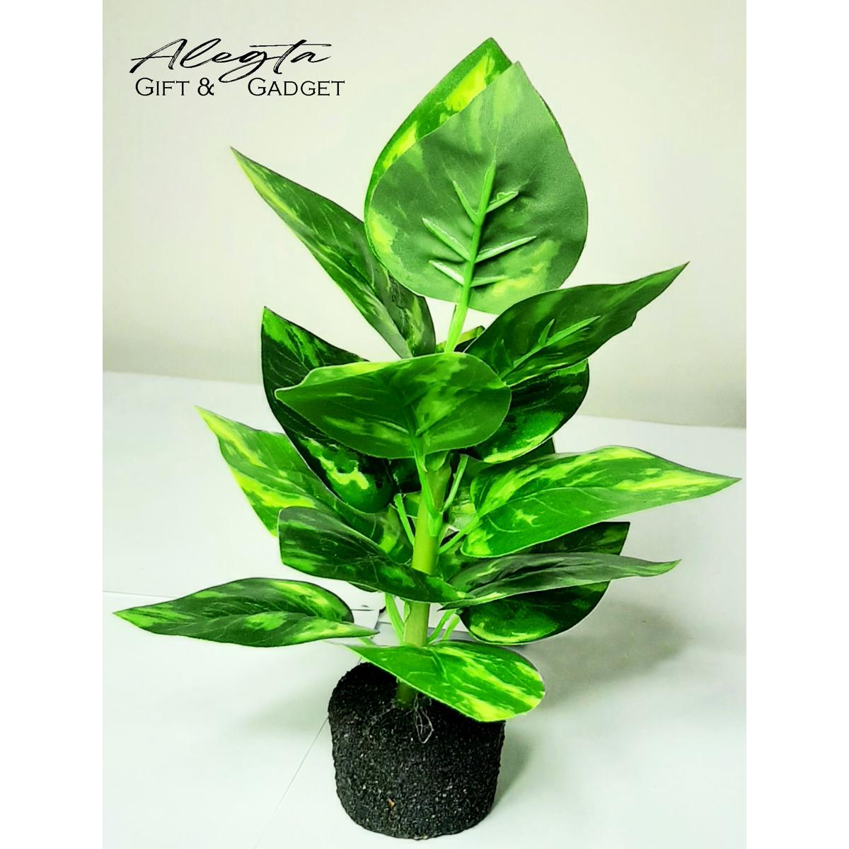 Picture of Green house Artificial Plant for For Home, Room Garden Decoration.