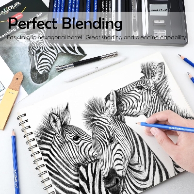 Picture of KALOUR PDAS Drawing Sketching Pencil Set, 36 Pro Art Pencil Kit, 12 Graphite Pencils (8B-5H), Black & White Charcoal Pencils, Charcoal Sticks, Stumps, Eraser, Sharpener, Tutorial, Art Supplies