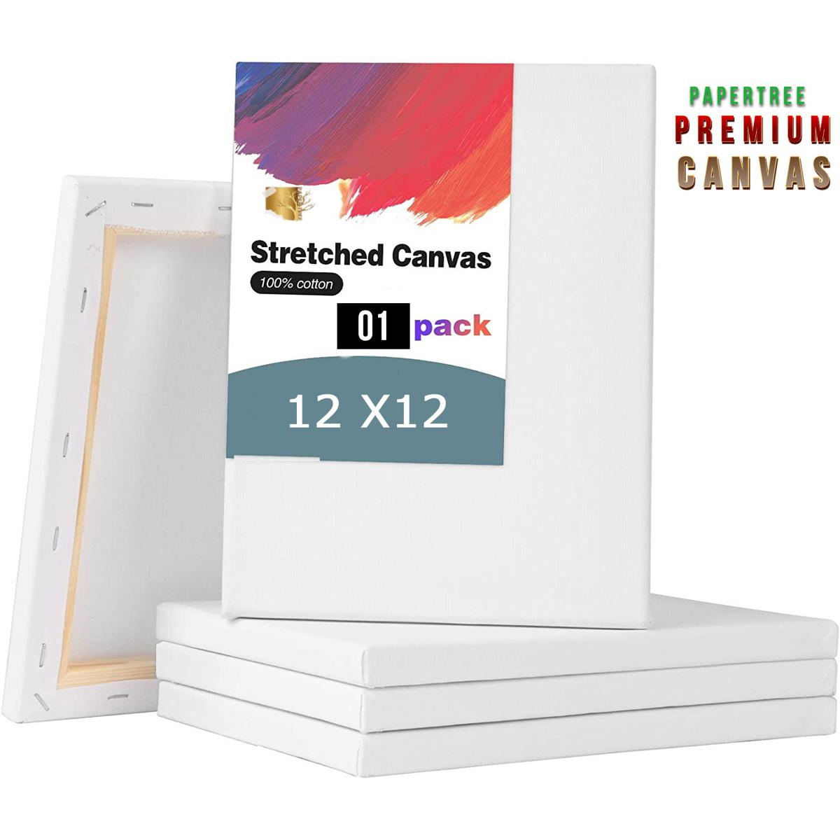 Picture of White Painting Premium Canvas 12/12 inch