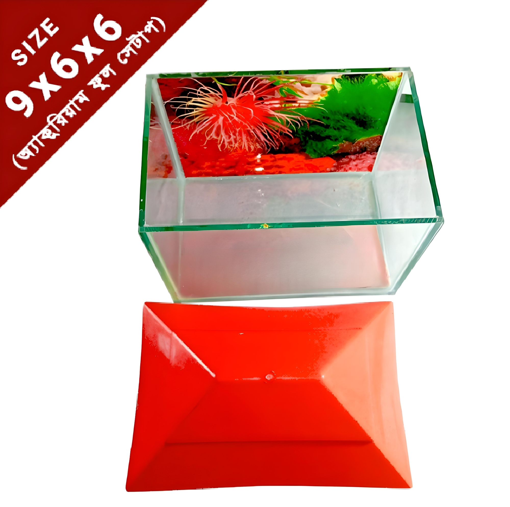 Picture of Glass Made Deshi Aquarium For Fish With All Accessories You Don't Have To Buy Anything (Small Size 9x6x6 Inches)