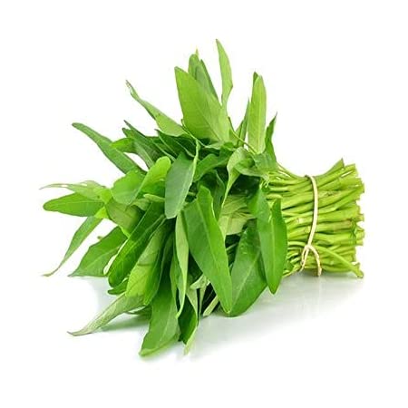 Picture of Organic Green Kangkong Water Spinach 20+Pcs Seeds