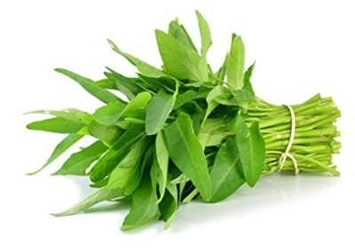 Picture of Organic Green Kangkong Water Spinach 20+Pcs Seeds