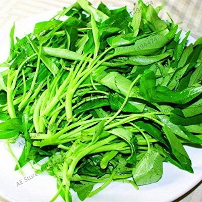 Picture of Organic Green Kangkong Water Spinach 20+Pcs Seeds