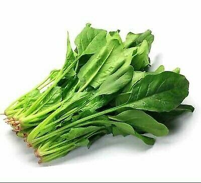 Picture of Natural Deshi Organic Palong Shak Seeds  - 50 Pcs Seeds