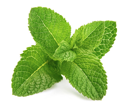 Picture of (All Season) Pudina/Mint Seeds (Seeds) - 30+ Pcs Seeds Paket