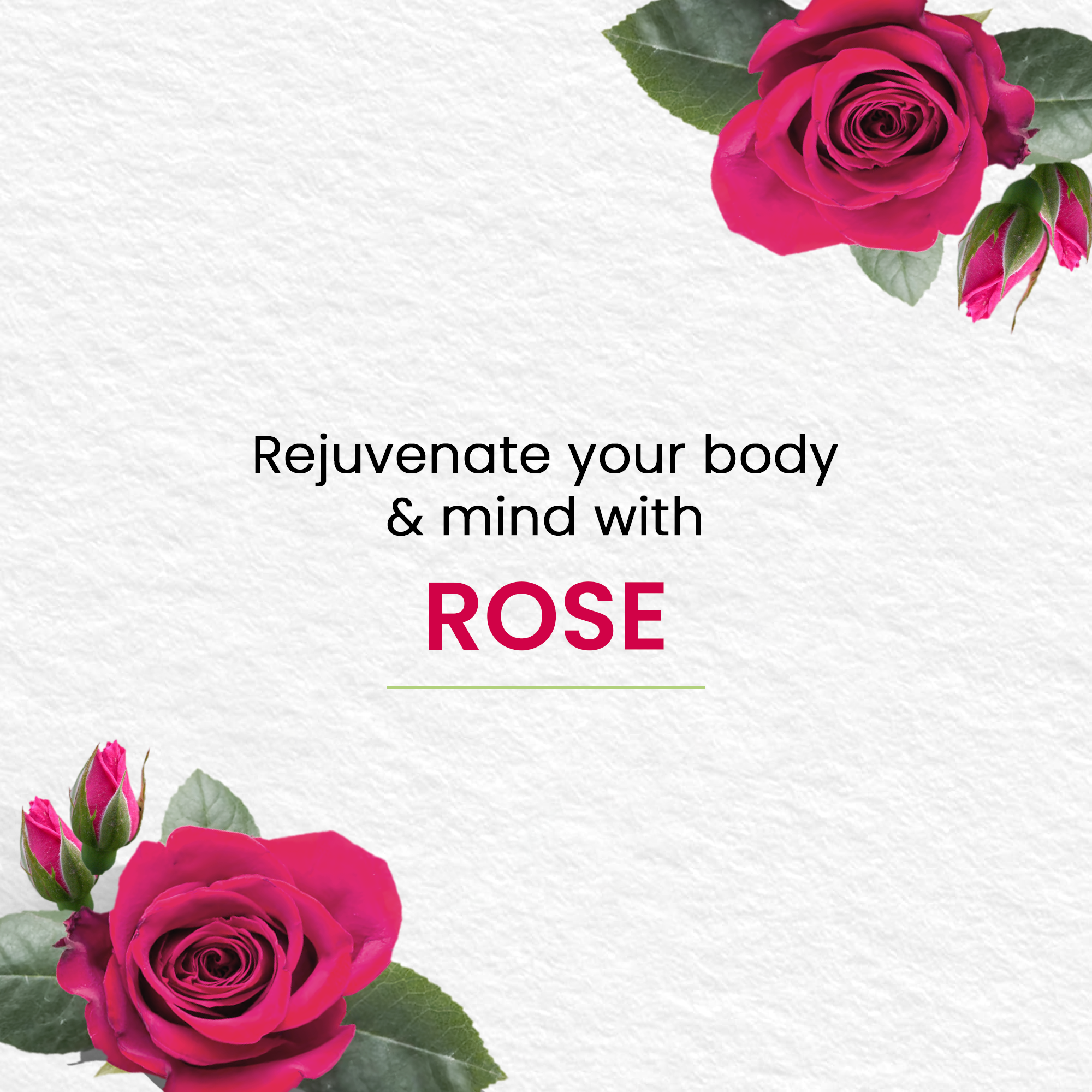 Picture of Himalaya Moisture Rich Rose Soap-125gm (Buy 3 Get 1 Free)