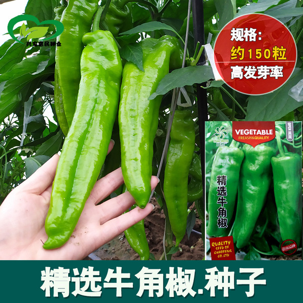 Picture of Hot Big Pepper Sweet Horn Chilli  (All Season) Seeds - 20Pcs