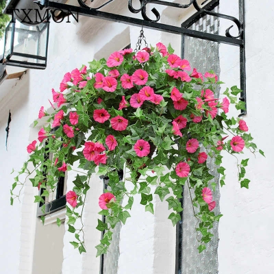 Picture of Beautiful Morning Glory of mixed color 15pcs seeds
