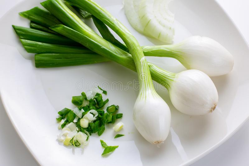 Picture of white Onion Tree seeds 100 pcs