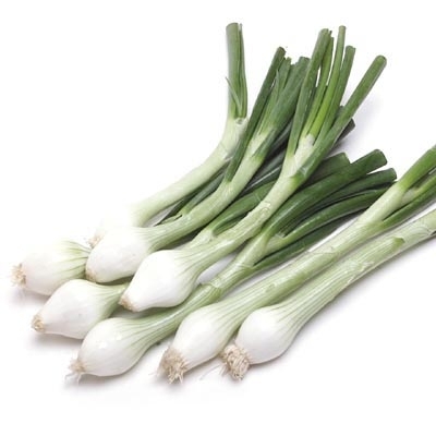 Picture of white Onion Tree seeds 100 pcs