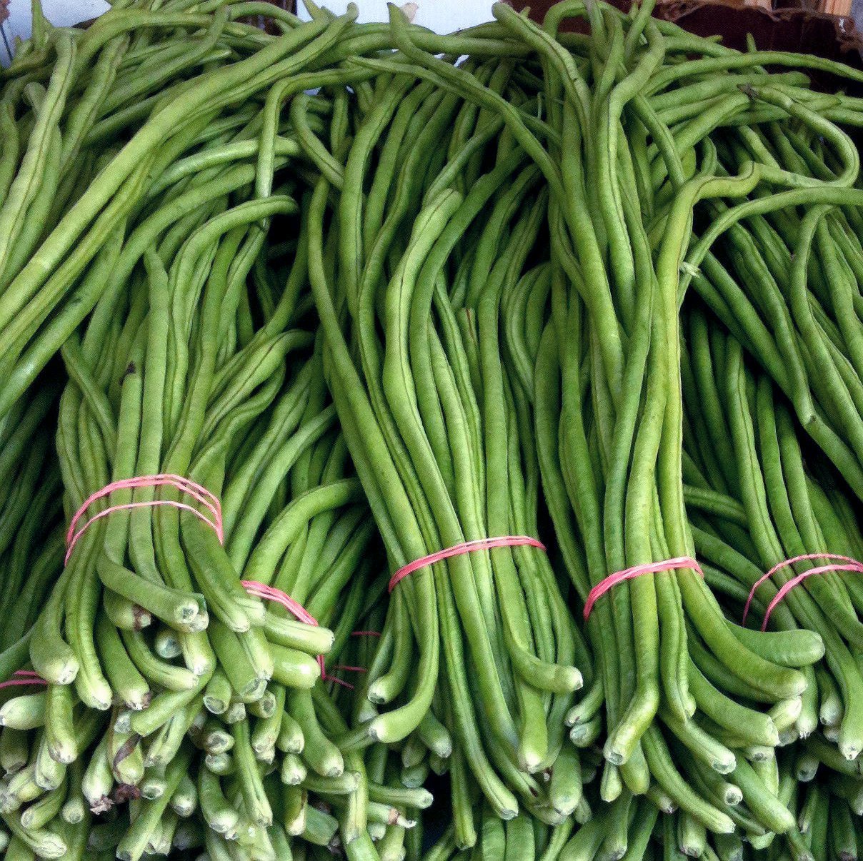 Picture of Berbati seeds 10 pieces - Intake pack