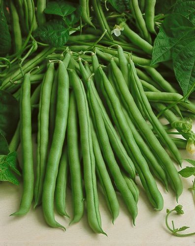 Picture of Berbati seeds 10 pieces - Intake pack