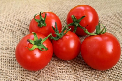 Picture of Japanese Tomato Biz 20+ PieceS Home Tuber